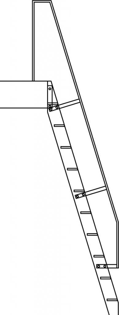 Ladder Rail Safety Rendering