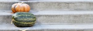 Thanksgiving Decoration Ideas For Your Stairs Pumpkins