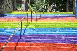 Indoor Cat Playground Equipped With Staircases & More