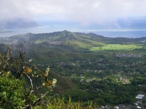 One Staircase With Awe Inspiring Views Might Become No More
