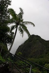 One Staircase With Awe Inspiring Views Might Become No More