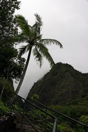 One Staircase With Awe Inspiring Views Might Become No More