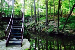 Make Your Restaurants Stairs Stand Out