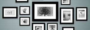 photo frames on wall