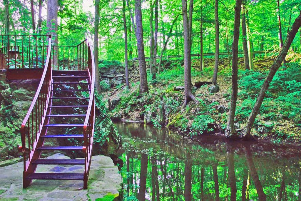 Decorating a Staircase with a Garden