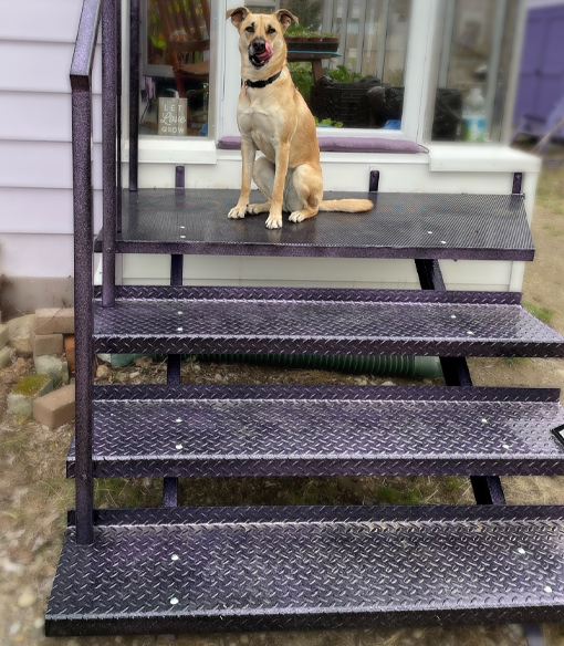 powder coating services